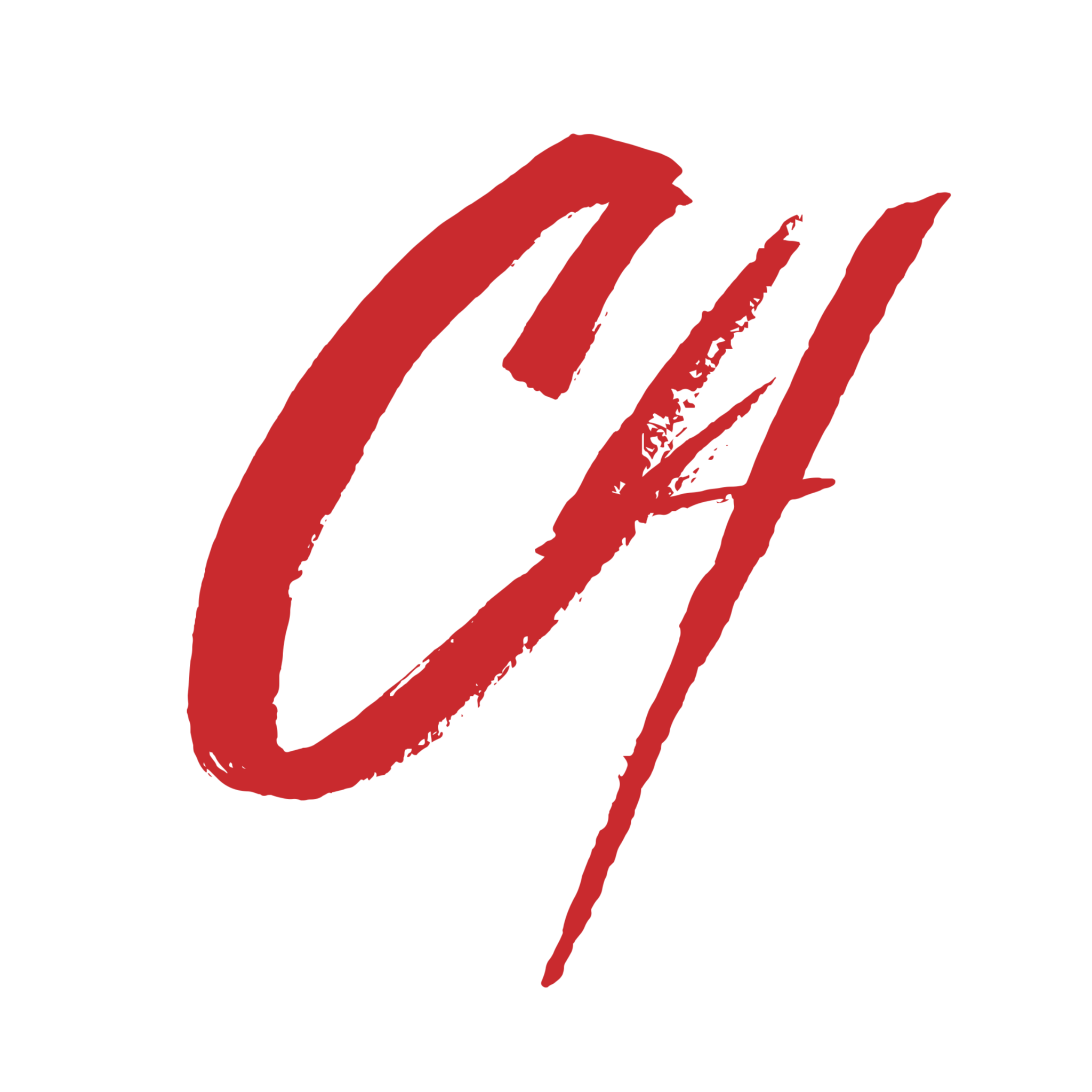 C4 Services
